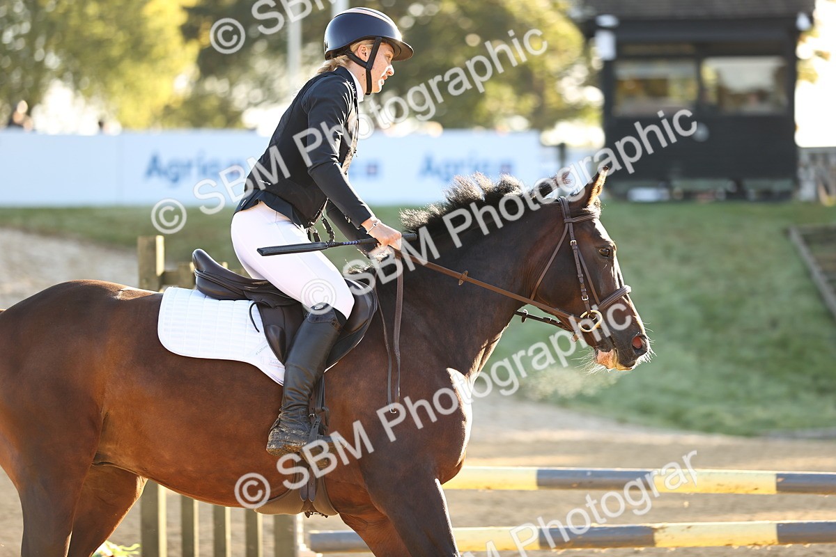 SBM_33122 - J38 - Senior 80cm Championship