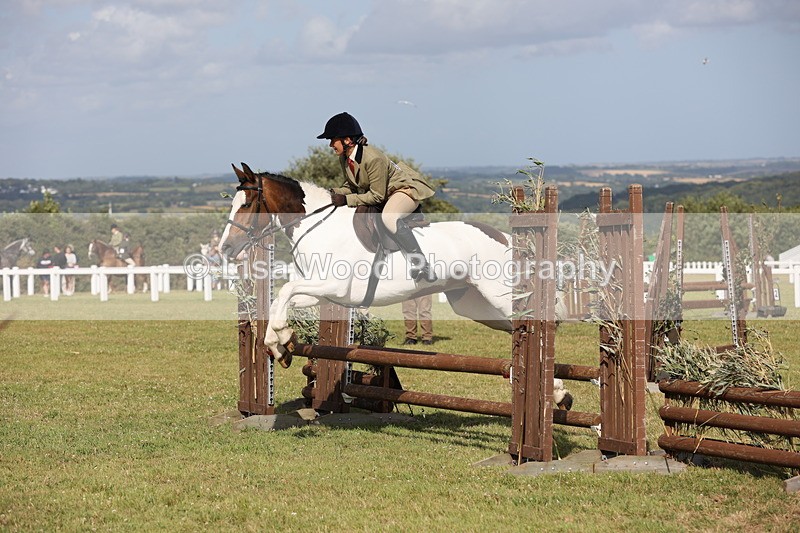 JPP_2798 - Class 20: Working Hunter 70cm