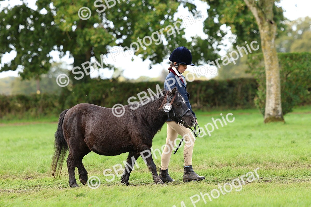 SBM_40700 - S25 -  Veteran In Hand