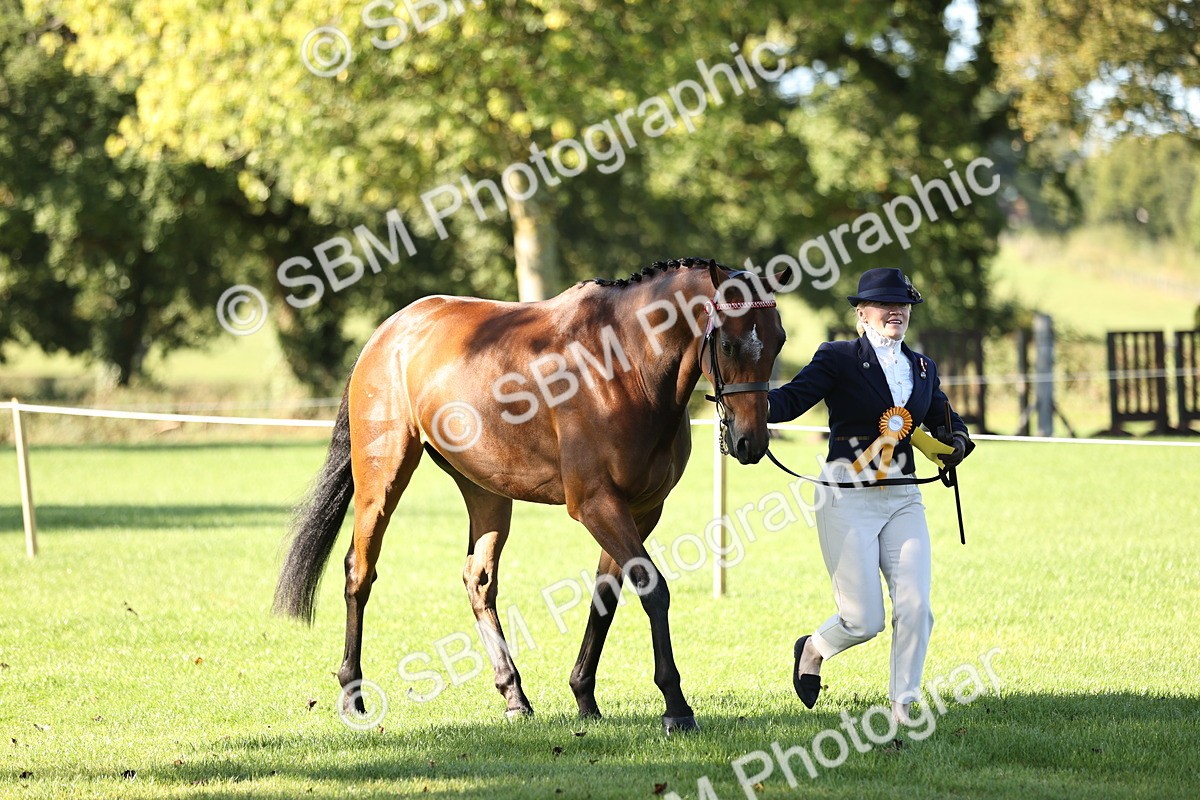 SBM_15801 - S1 - TSR in Hand Horse & Pony Showing