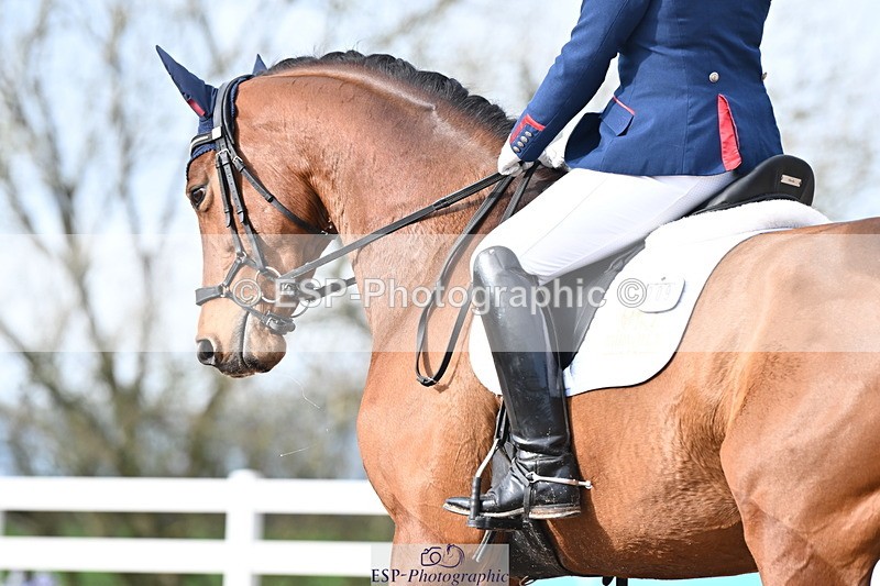 240218A-141538-08019 - 209-Charlotte.Dicker-Catherston.Tarantella