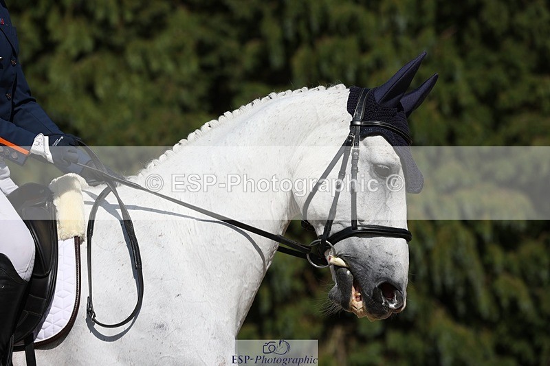 230526-163402-07843 - 172-VELOUMANI_TESS_LY-Aliene_Ruyter-WEDTrotUp+DR