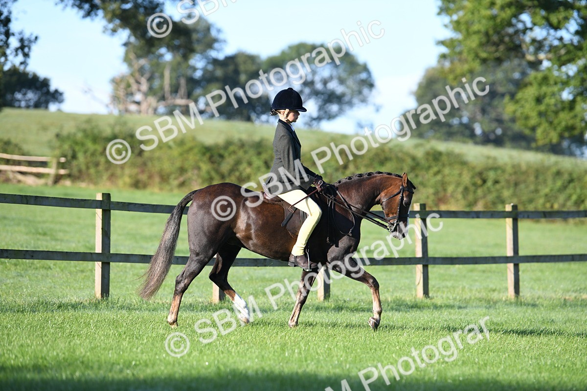 SBM_33931 - S16 - Condition & Turnout - Ridden
