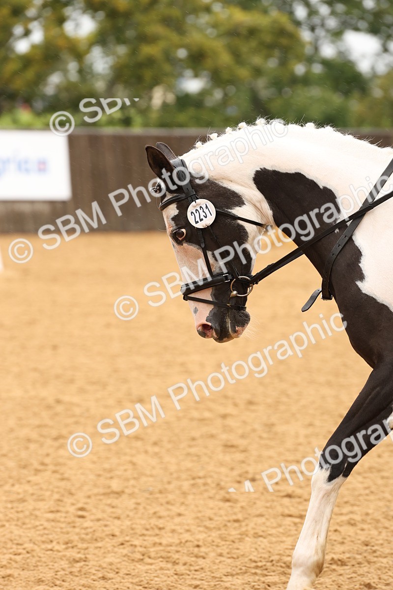 SBM_00711 - D1 - Small Tour Championship Intro 1