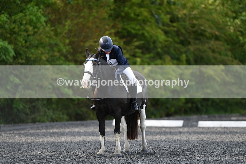 WJ5_9167 - Time 10:10 to 10:47