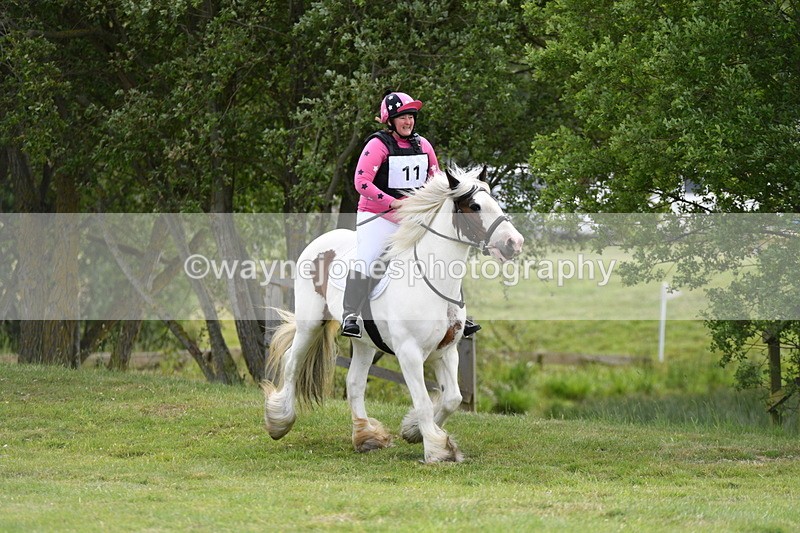 WJ5_2562 - Class 2 40cm