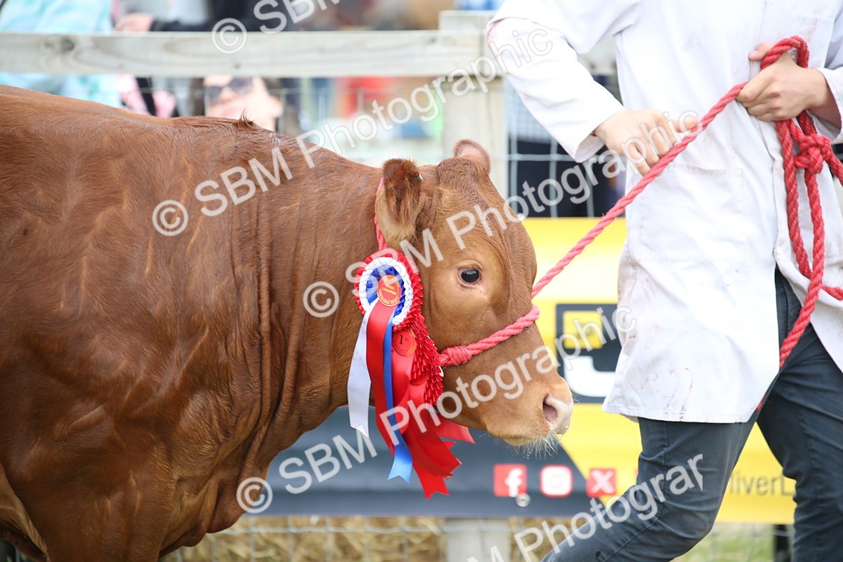 SBM_07816 - Grand Parade
