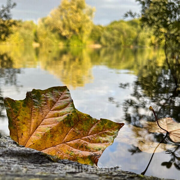 PhotoMynottART098 - Photo Mynott ART Images