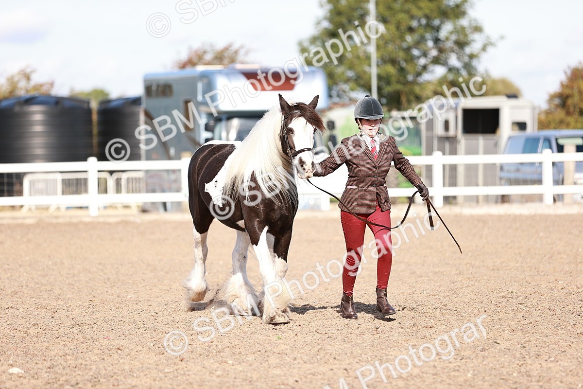 SBM_12591 - Class 404 - IH Traditional - Native Cob