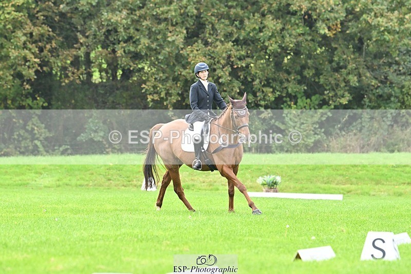 241024-100909-02110 - 308-Rachel.Lawson-RED.STAG