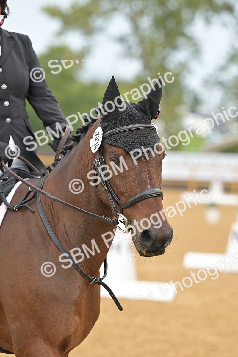 SBM_02311 - D2 - Small Tour Championship Intro 2