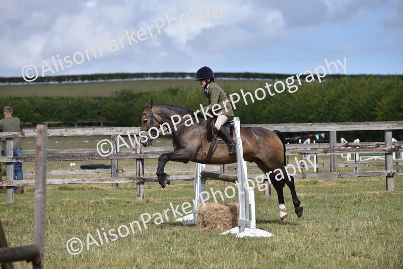20250831-4099 - Class 13 - Working Hunter Horse or Pony