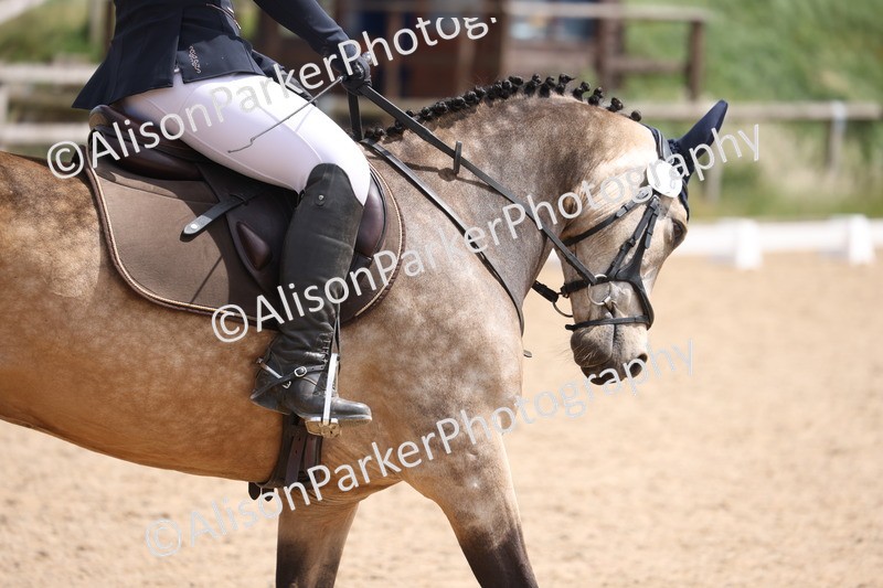 20250614-0975 - Class 5 - Novice 3