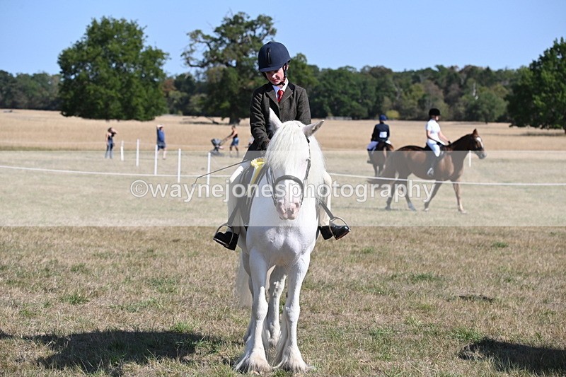WJ6_7683 - Class 34 Judges Choice