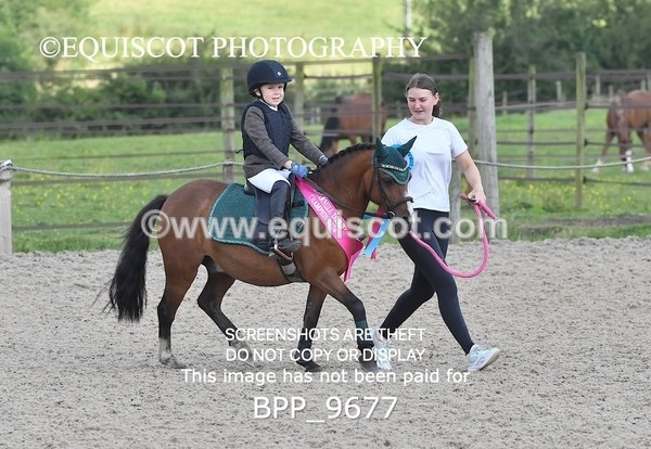 BPP_9677 - CLASS 1 SAT Derby Show Jumping 20CM,