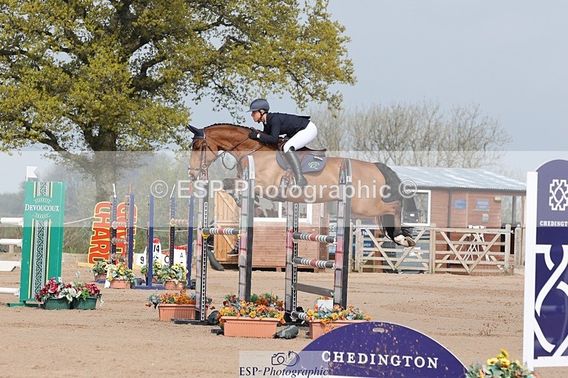 250424-102339-02984 - Cls 33 Young Horse 7yr old