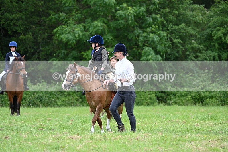 WJ7_4006 - Class 14A Handsome Gelding