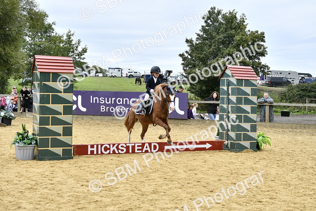 SBM_65457 - J2a mini Tour Junior Pony 30cm Championship