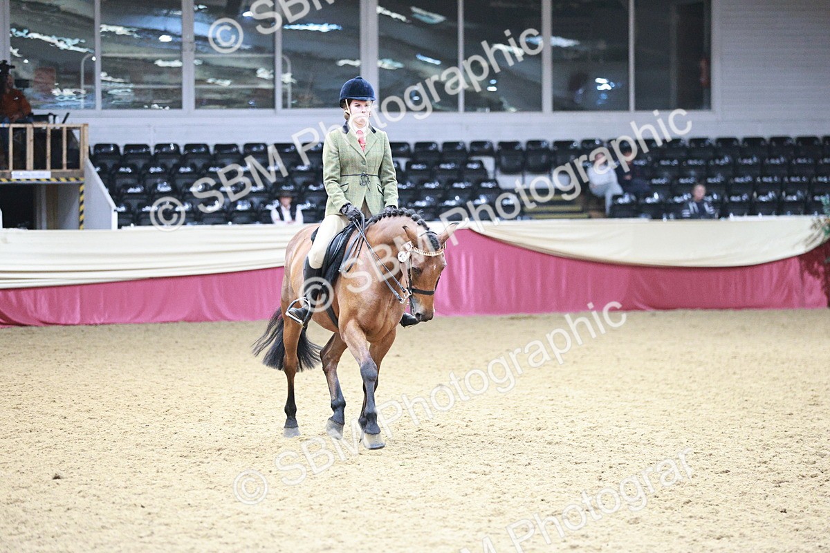 SBM_03549 - Class 6A Area Ridden Pre-Vet