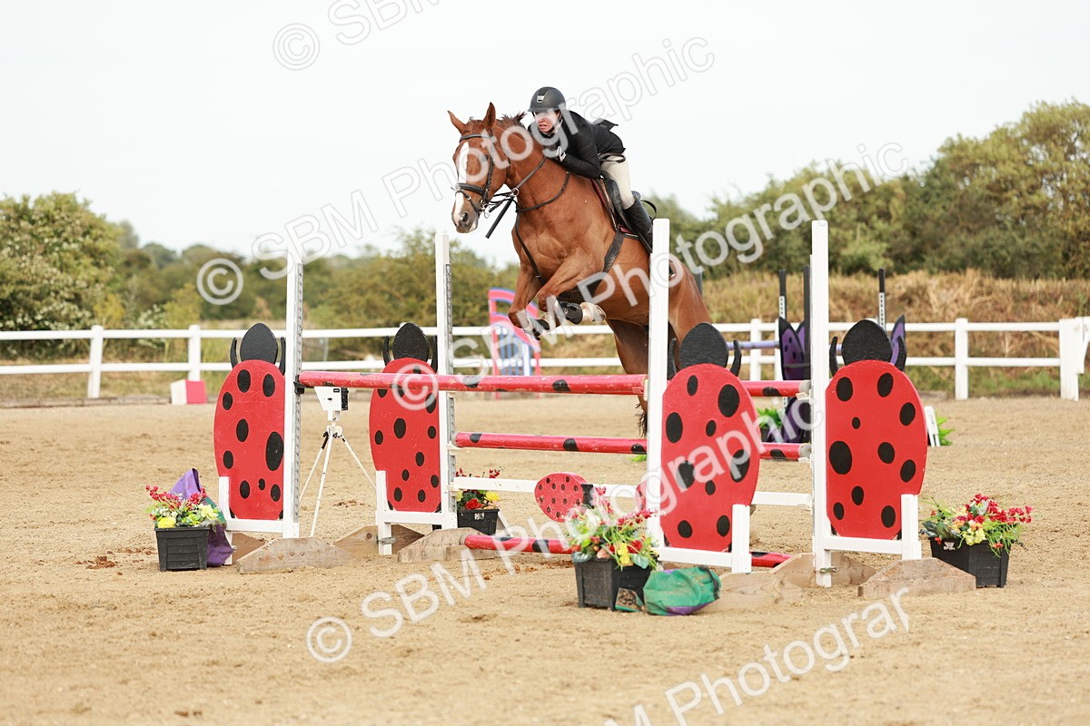 SBM_008284 - Class 4 - Senior Foxhunter - 1.20m Open