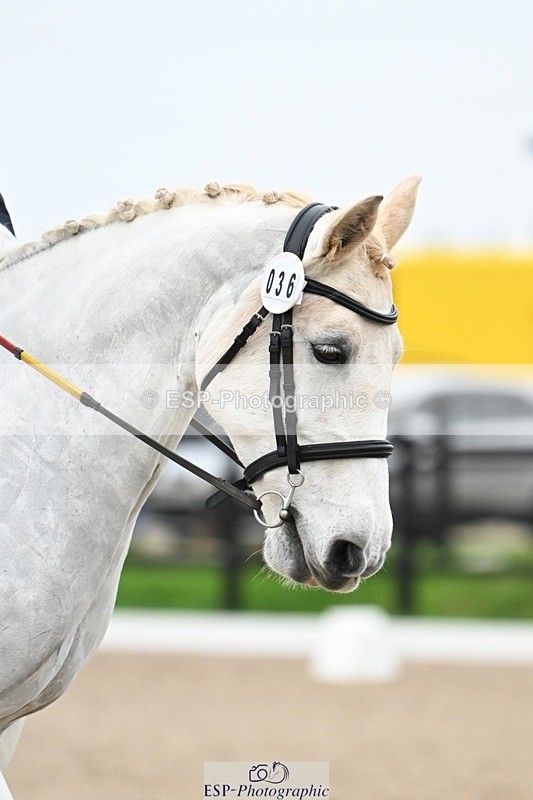 241103-101816-00315 - Intro 3 - 9.40 to 10.40