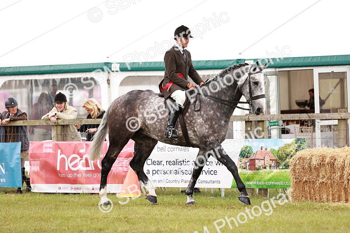 SBM_11540 - Class 81-84 - RIHS Ridden hunters Inc Ladies Hunter