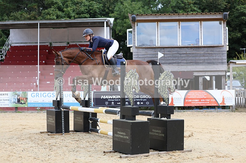 3E7A3287 - Class 4: Senior British Novice/90cm open