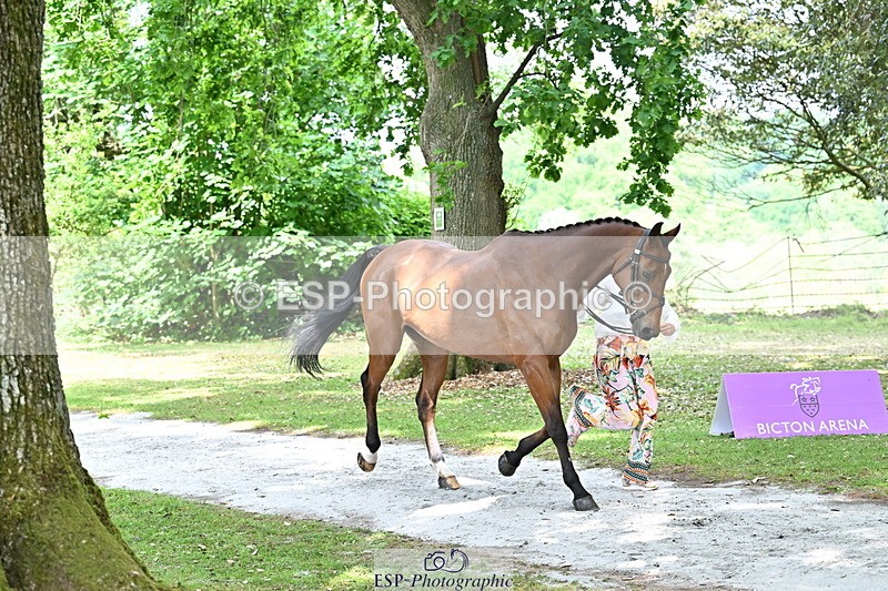 250521A-151825-00409 - B-362-Kat.Raybould-THE.ELLFIELD.DIKSTER