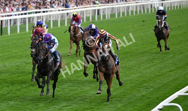 230825-276 Dain Ma Nut In - Race 7 5.20pm Sky Bet Steve Birch Finale Handicap