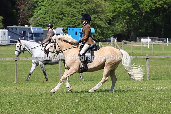IMG_4253 - Working Hunter