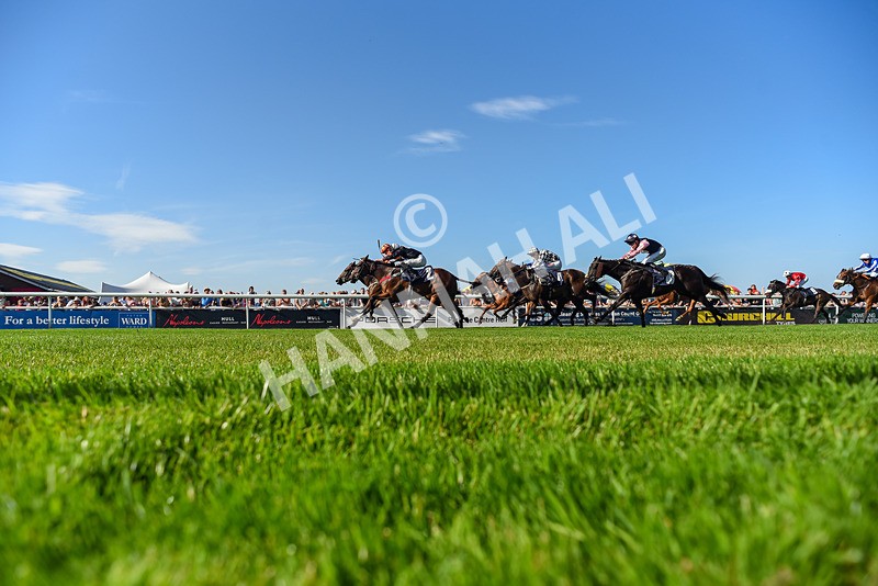 120826-Race 6-Rumble Ruby-6493 - Race 6 16.45pm Nation Radio Yorkshire Handicap