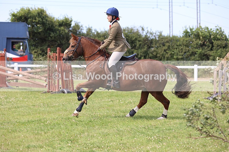 JPP_3691 - Class 23: Working Hunter 80cm