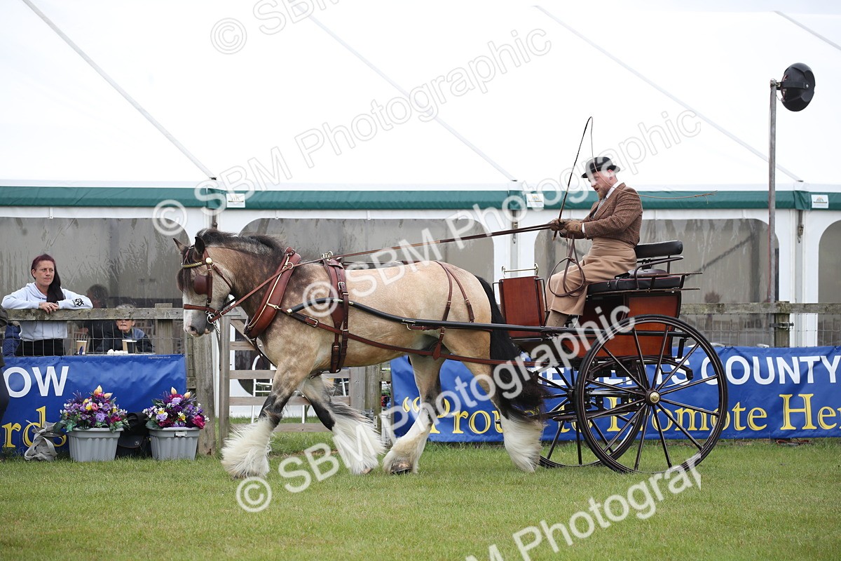 SBM_05648 - Class 12-15 - HOYS Private Driving