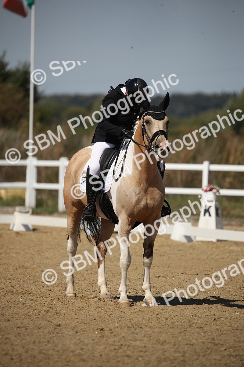 SBM_005087 - Class 11 - Novice 5 - 11.41-12.58