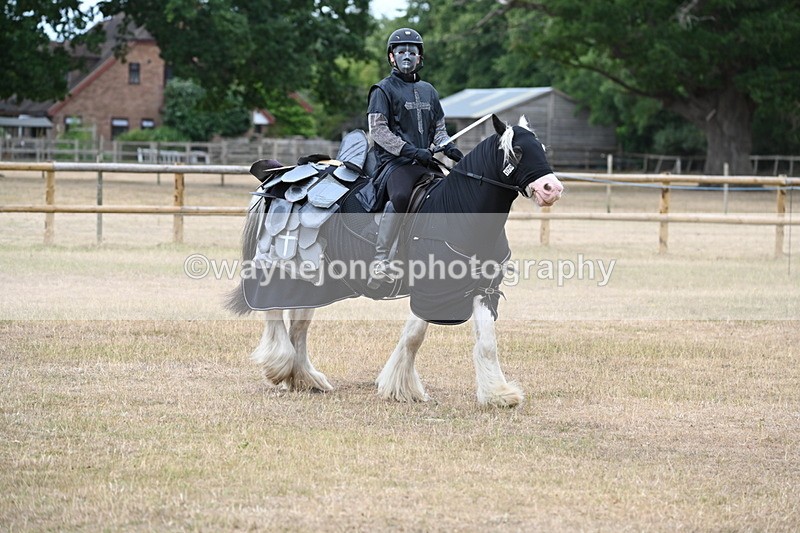 WJ6_8855 - Class 11 Fancy Dress