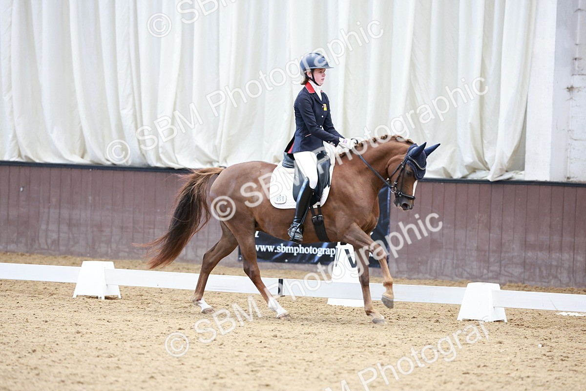 SBM_017190 - Class15 - FEI Pony