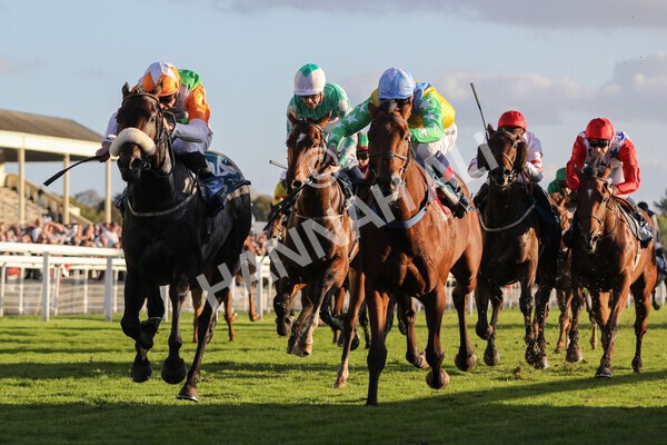 yr08102022r7-30 - Race 7 5.00pm The Coral Gets You Closer To The Action Stakes