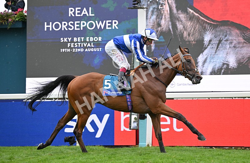 200826-072 The Lost King - Race 3 15.00pm Sir Kevin Sinfield 7 In 7 Grand Finale Handicap