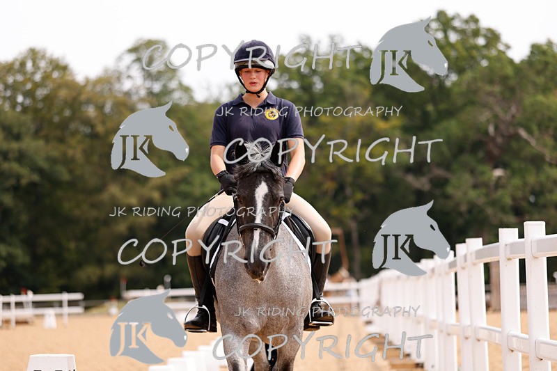 _R6A2843 - Dressage Morning