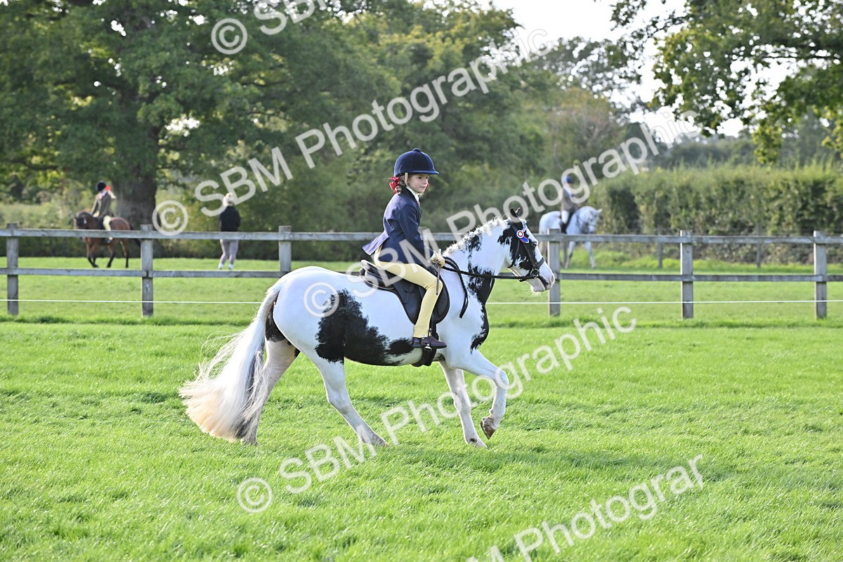 SBM_51229 - S22 - First Ridden show and show Hunter Pony