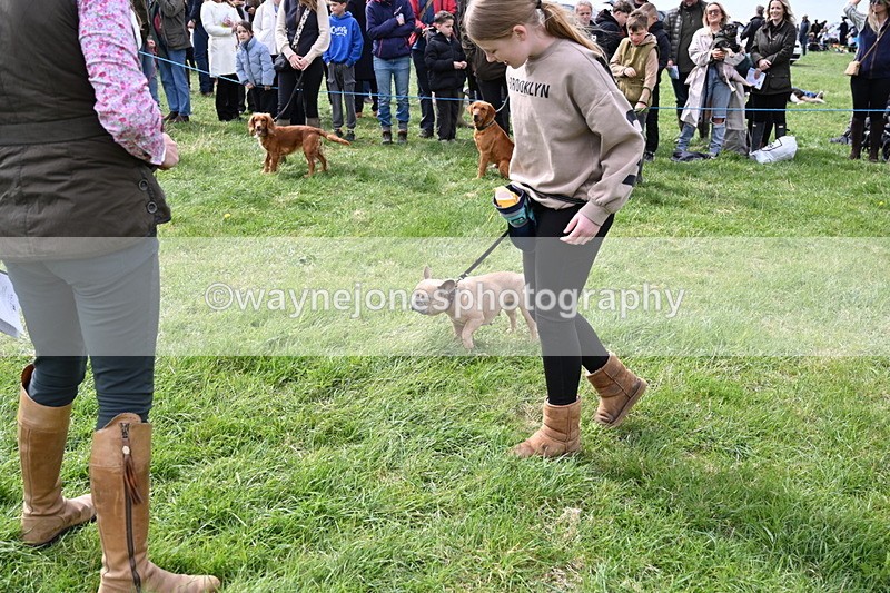 WJ6_8309 - Class 4 Prettiest Bitch