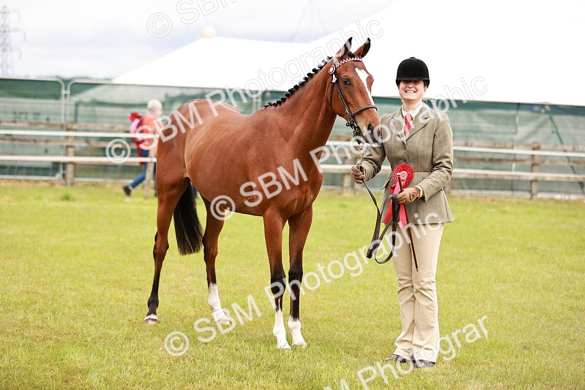 SBM_01716 - Class 31-34 Hack Breeding