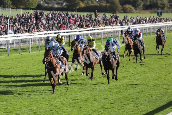 yr08102022r5-30 - Race 5 3.50pm The Coral Committed To Safer Gambling EBFStallions.com Maiden Stakes