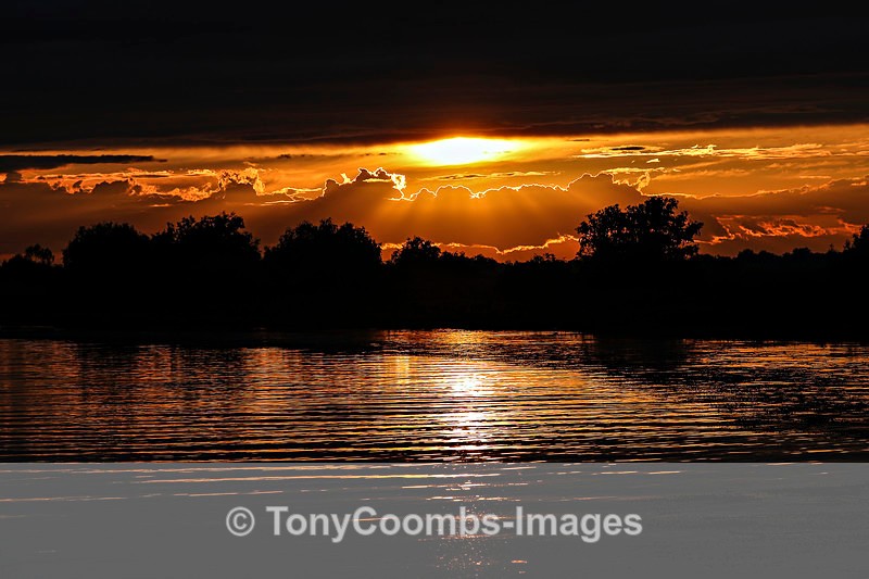 Danube Sunset - Danube Delta