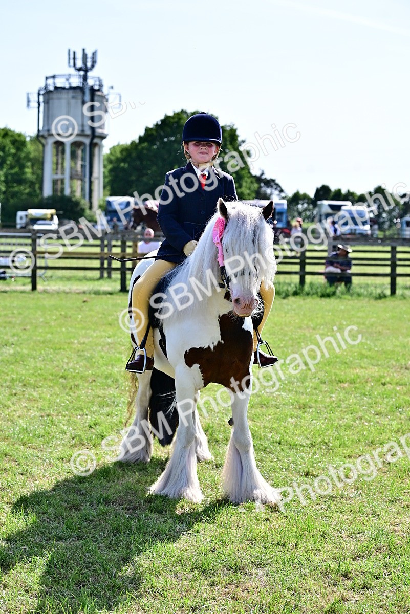 SBM_09446 - Class 63-65 - Traditional Gypsy Cobs In Hand & Ridden