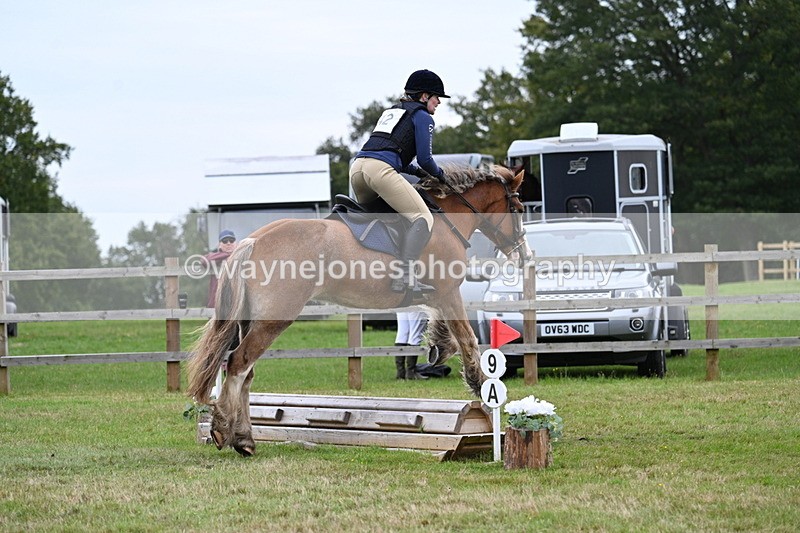 WJ7_7737 - 40cm Time 10:49 to 11:18