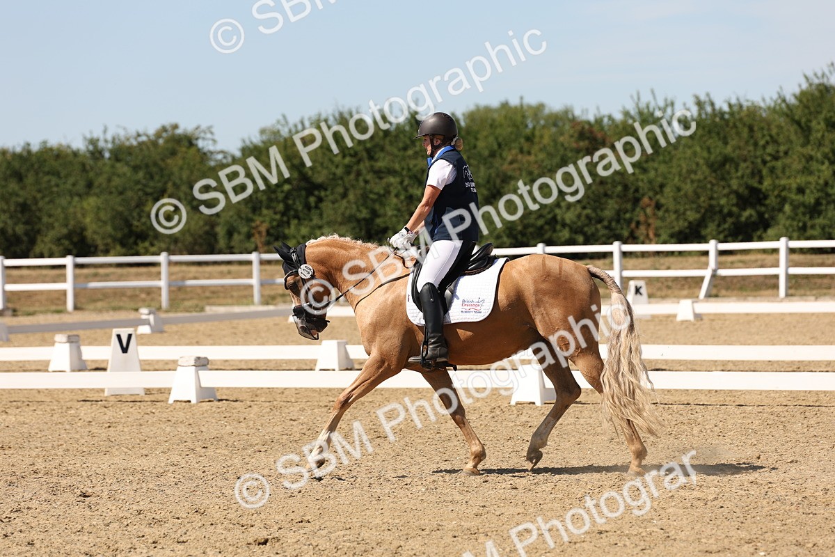 SBM_003663 - Elementary 4