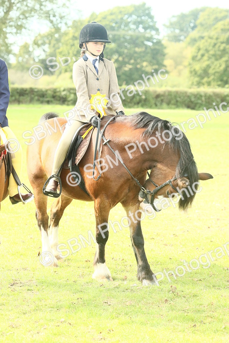 SBM_68163 - S57 - Part Bred Pony Ridden