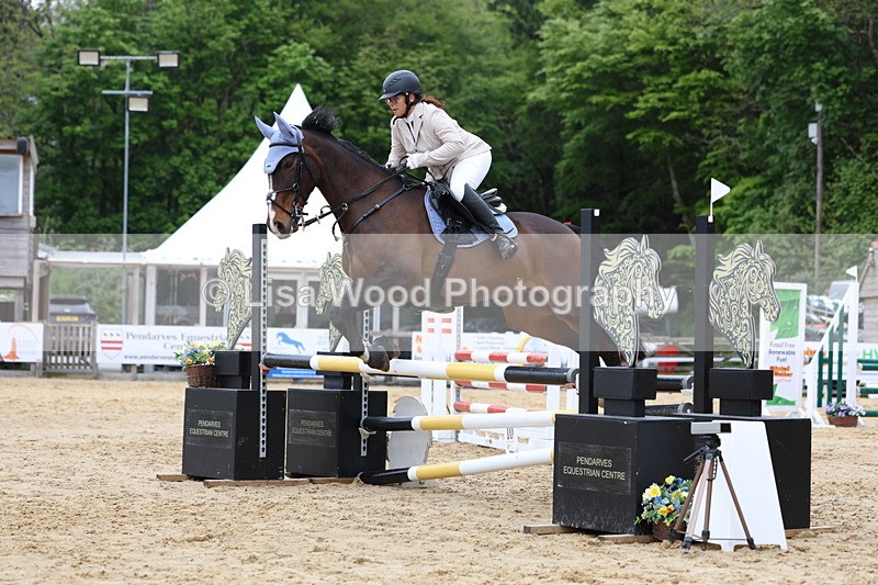 3E7A6127 - Class 4: Senior British Novice/90cm open