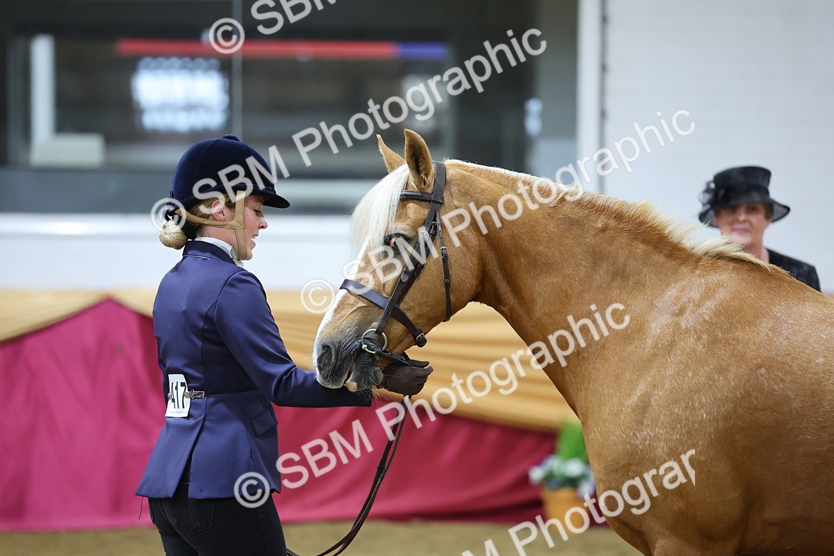 SBM_19670 - Class 901 - Supreme Final - IH Diamond